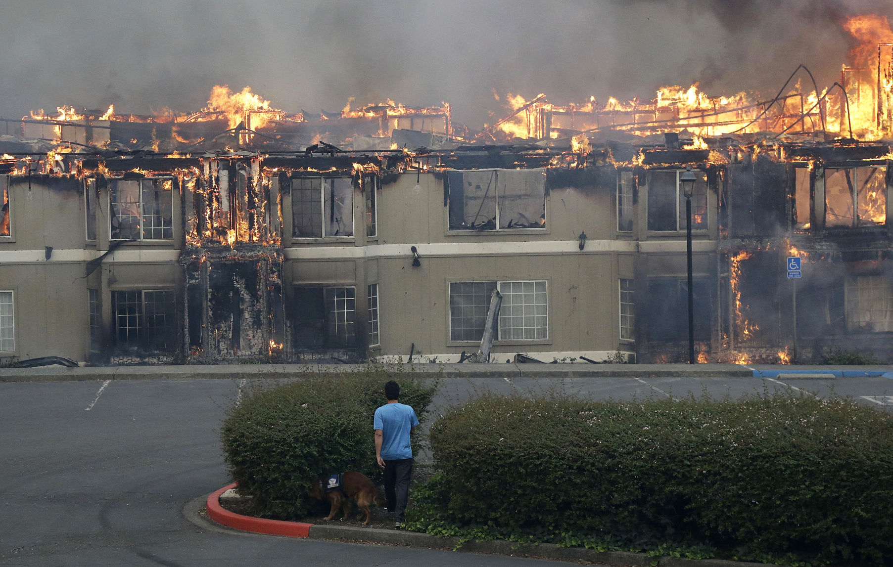 California Wildfires